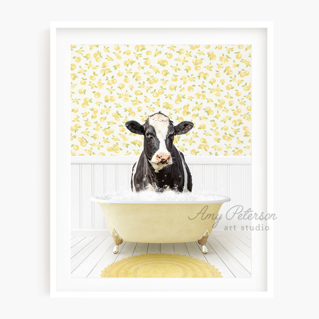 a black and white cow sitting in a bathtub