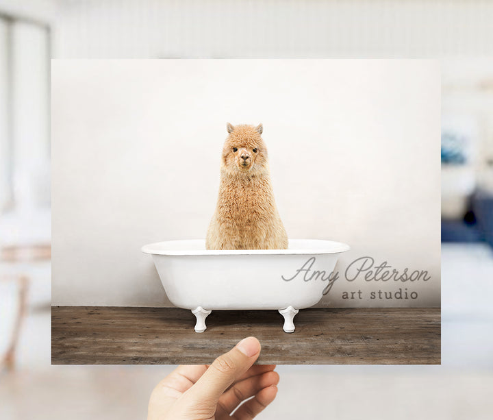 a person holding up a card with a dog in a bathtub