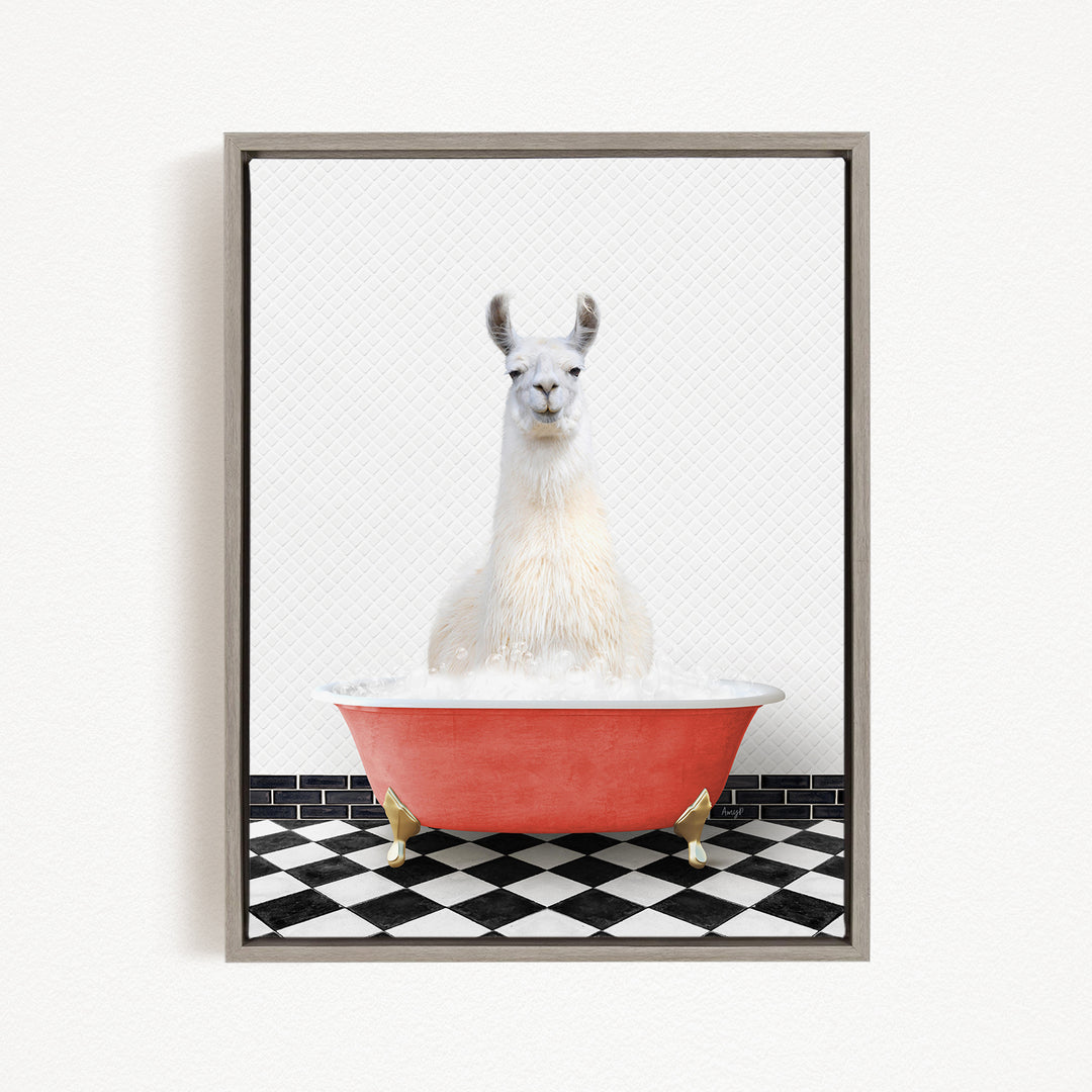 A white llama sitting in a red bathtub filled with bubbles, with a black and white checkered floor in the background.