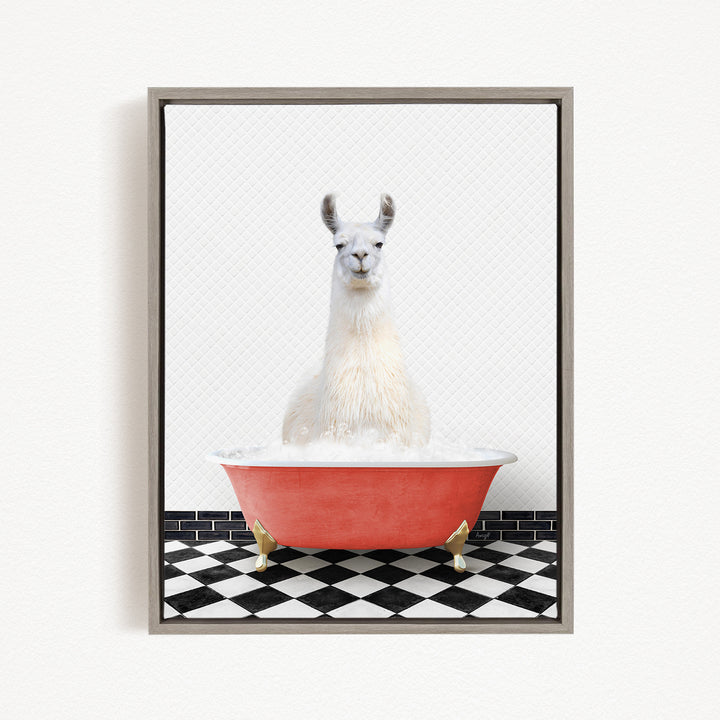 A white llama sitting in a red bathtub filled with bubbles, with a black and white checkered floor in the background.