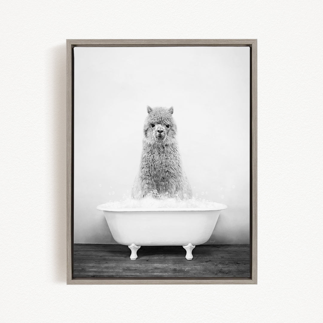A fluffy alpaca sitting in a white bathtub filled with bubbles, looking directly at the camera.