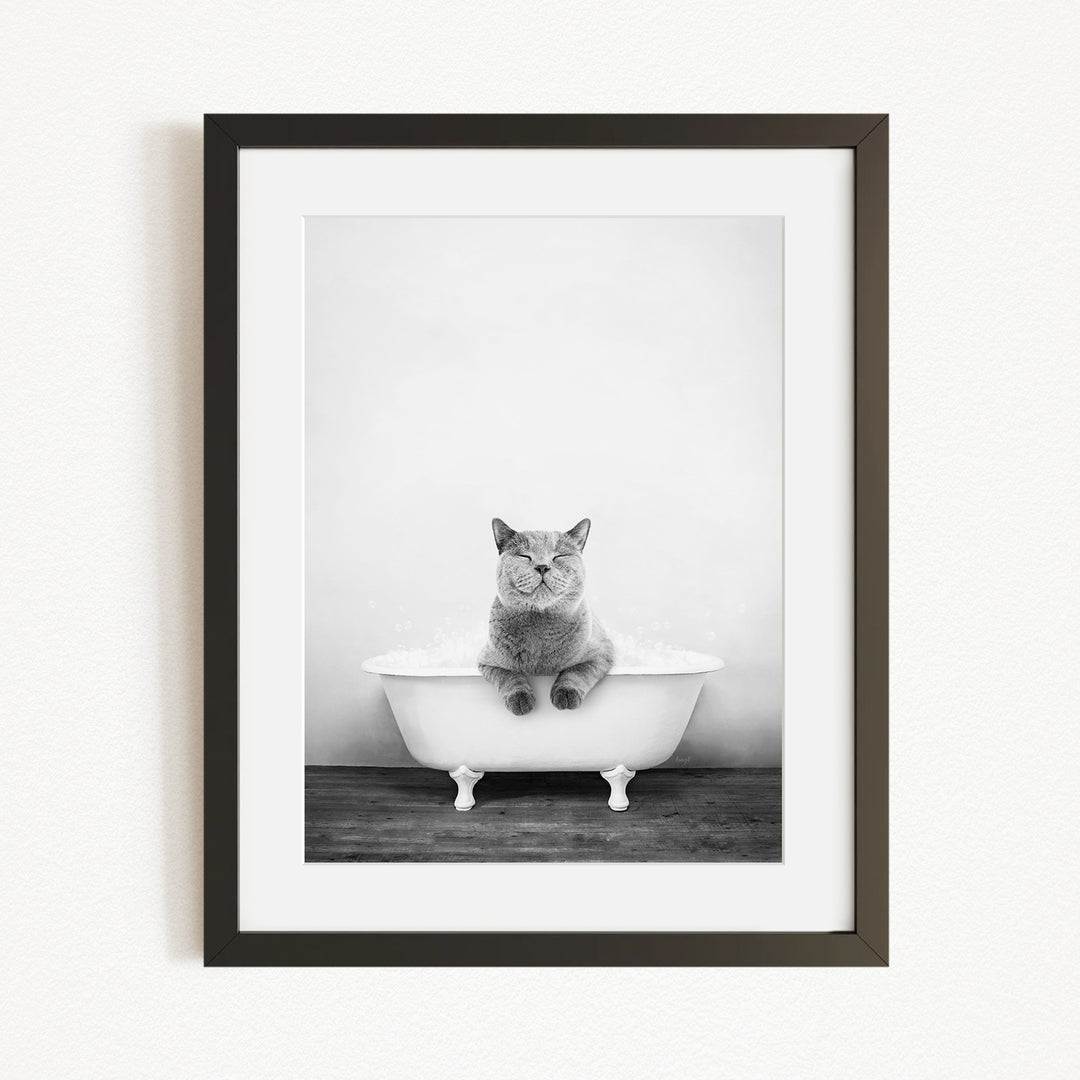 A gray cat sitting in a white bathtub, looking directly at the camera.