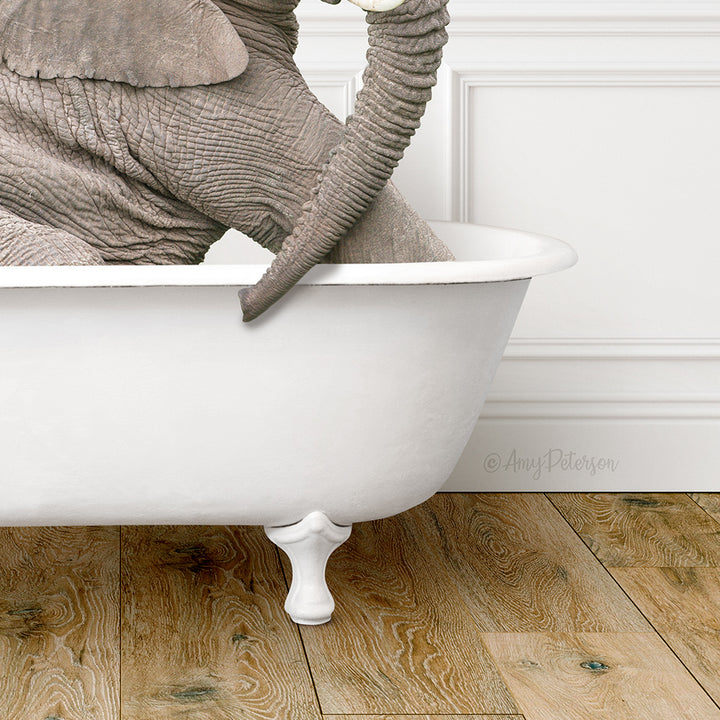 An elephant is sitting in a white bathtub, with its trunk curled around the tub's edge.
