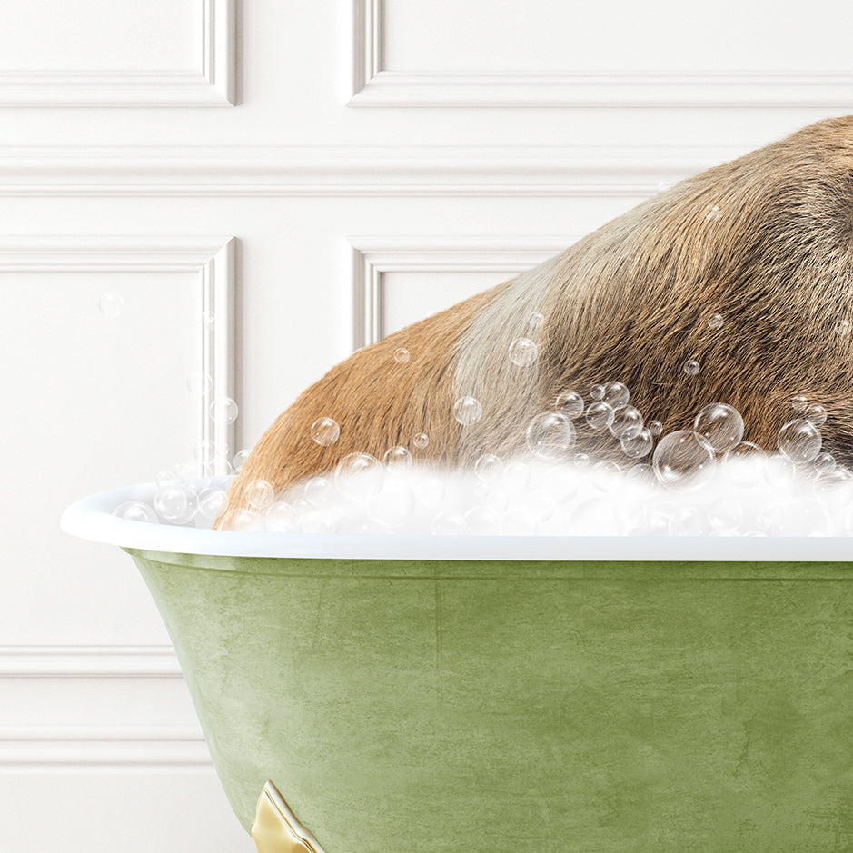 a dog taking a bath in a green bathtub