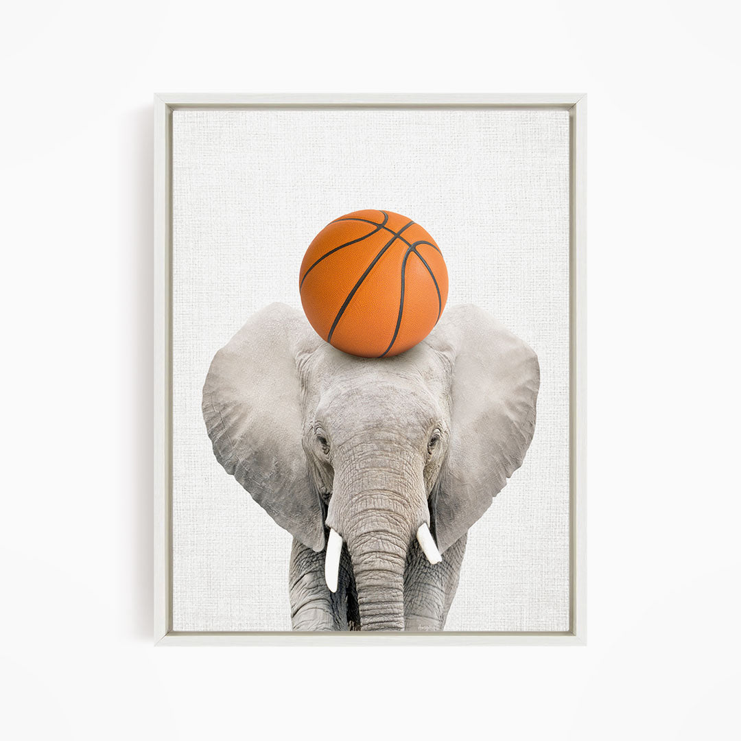 A gray elephant stands against a white background, with an orange basketball resting on its head.