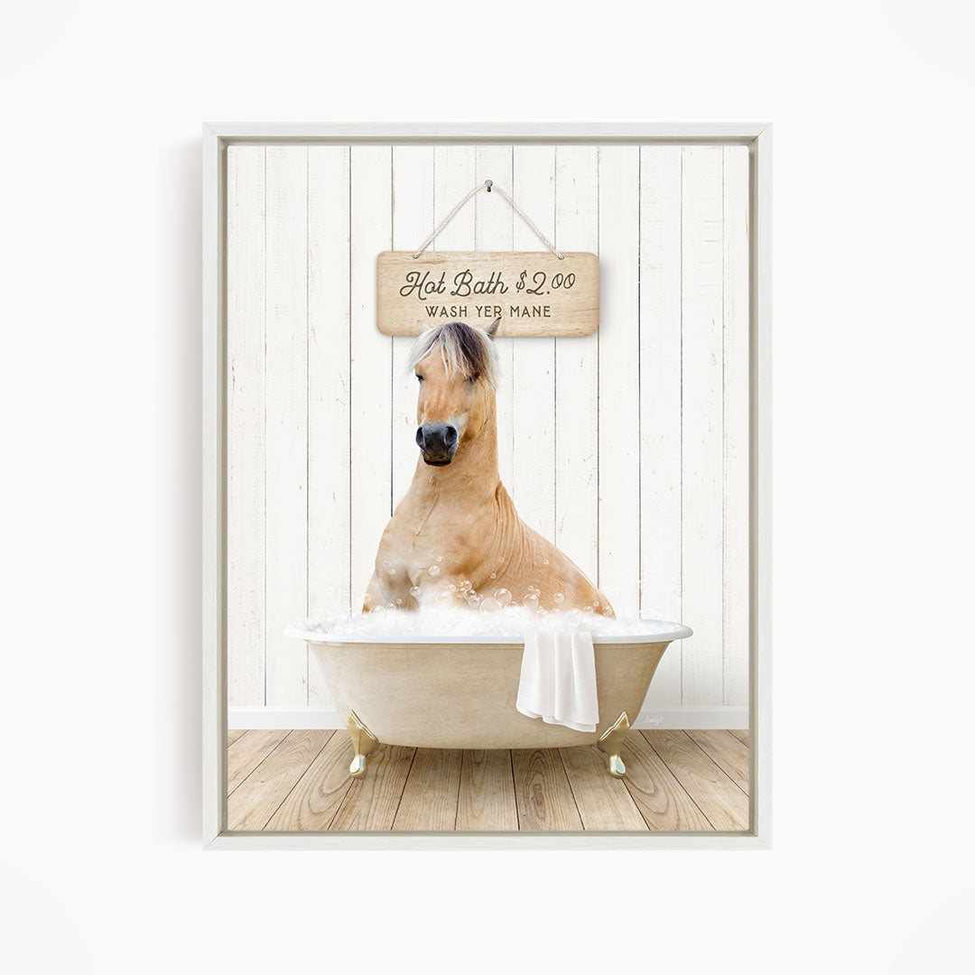 A brown horse is sitting in a white bathtub filled with water, with a sign above it that reads "Hot Bath $2.00 WASH YE MANE".