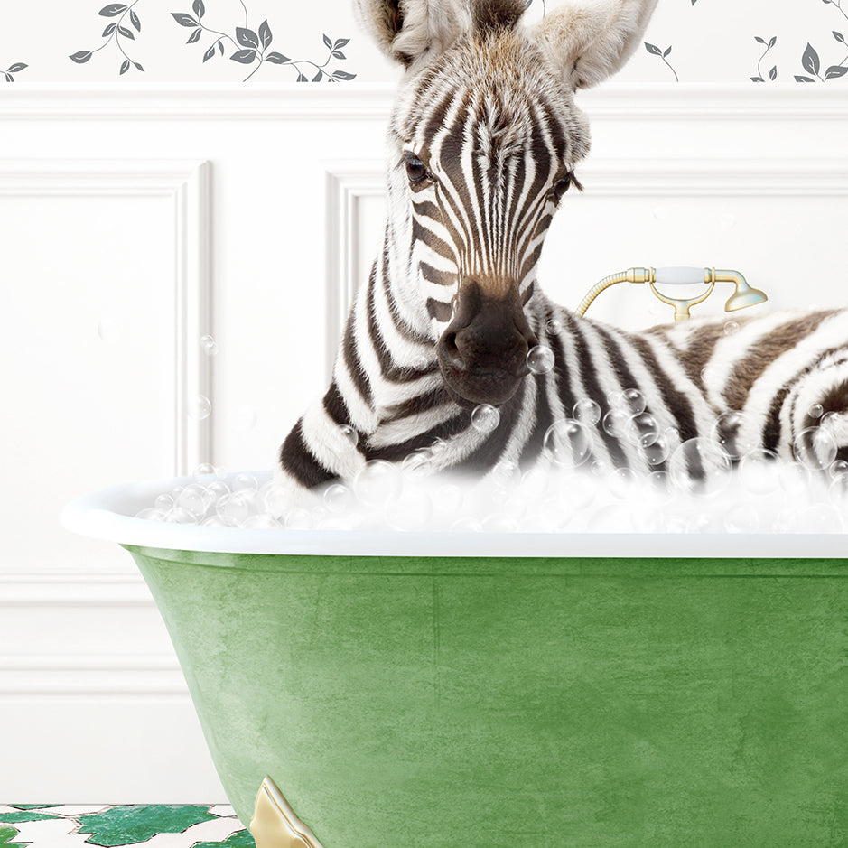 a baby zebra laying in a bath tub