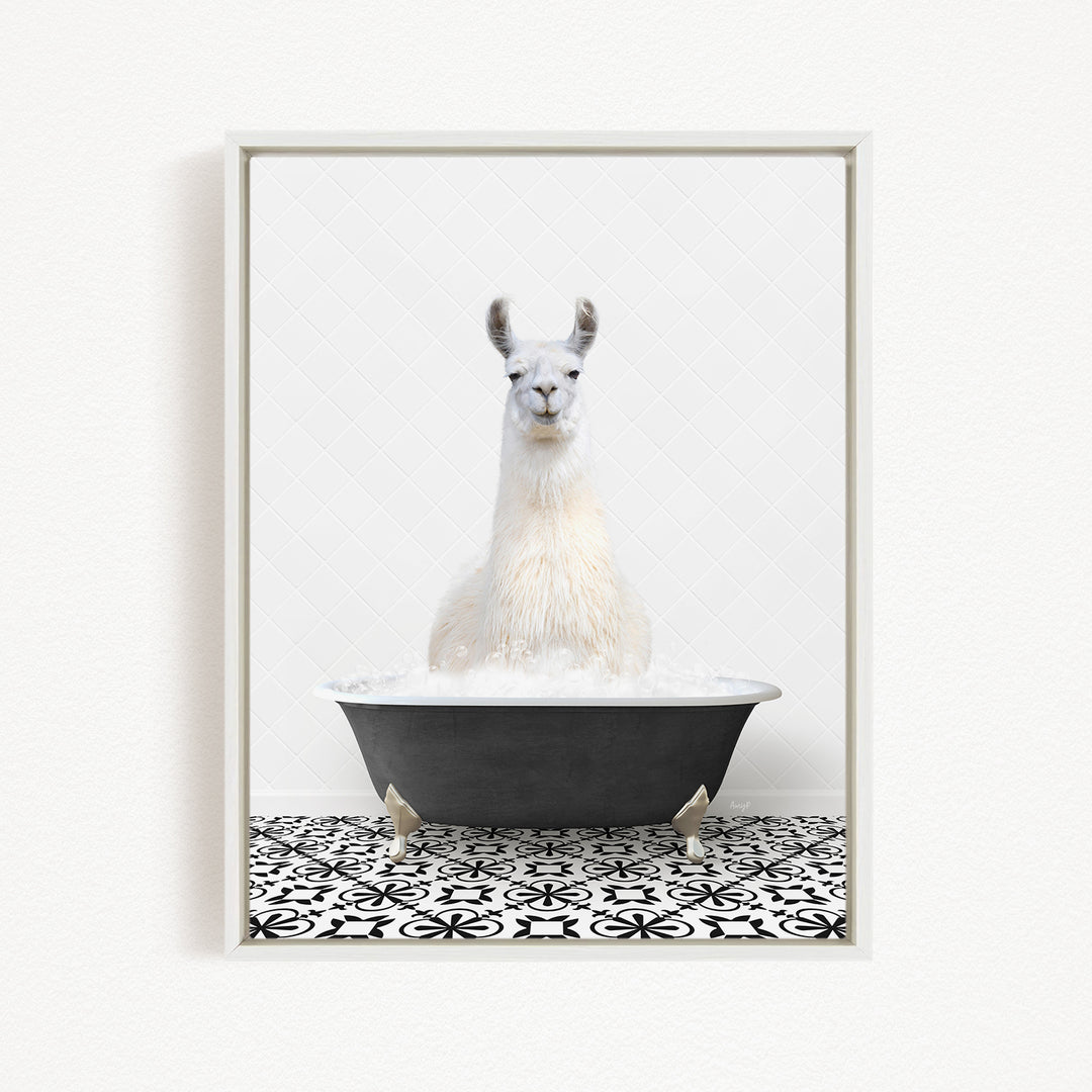 A white llama sitting in a black bathtub filled with water, surrounded by a black and white patterned floor.