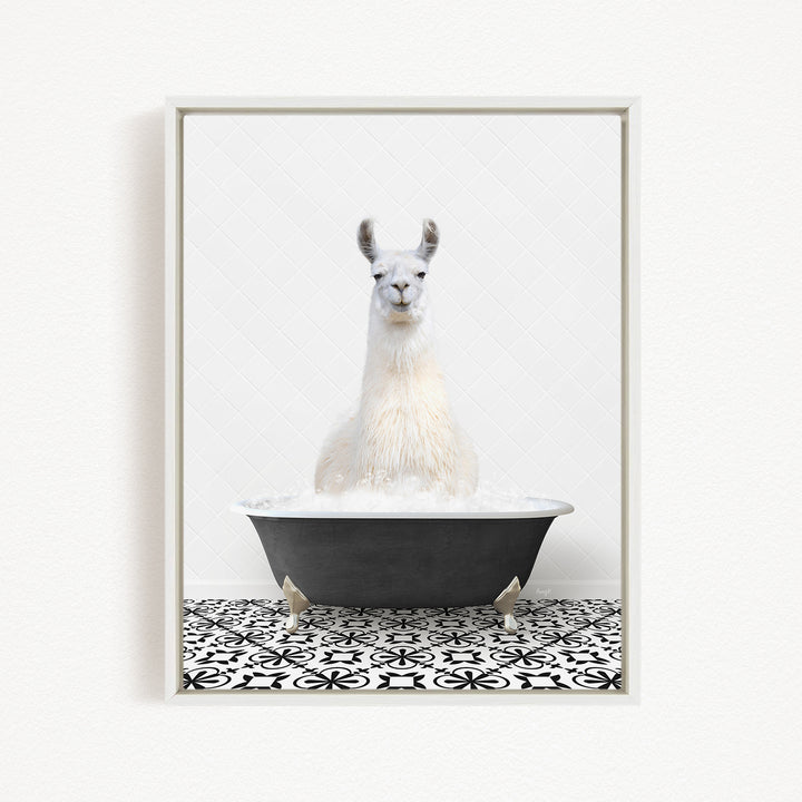 A white llama sitting in a black bathtub filled with water, surrounded by a black and white patterned floor.