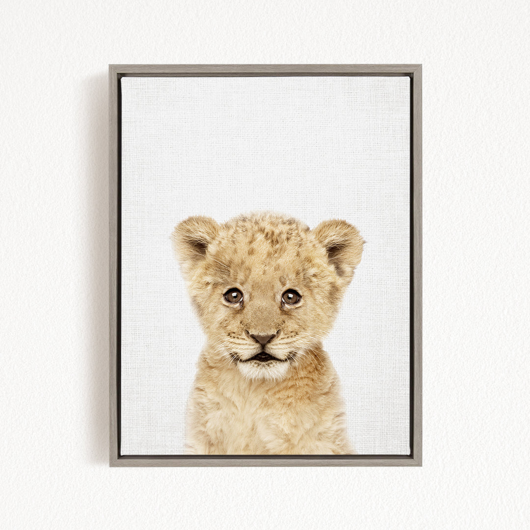 A young lion cub with a curious expression is the focus of the image, which is a framed print displayed on a white wall.