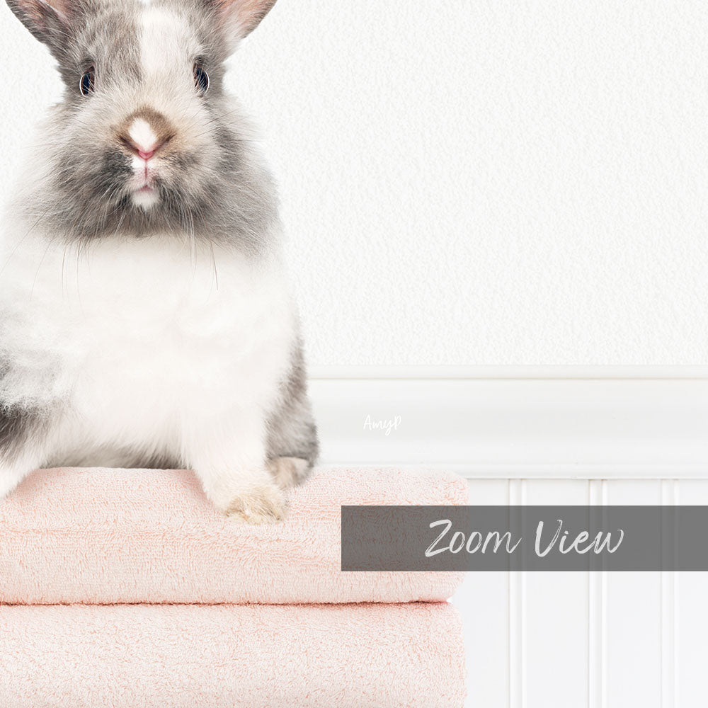 A fluffy gray and white rabbit sits on a stack of pink towels, with a white wall and text overlay in the background.