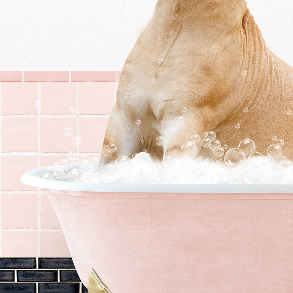 a dog sitting in a bathtub full of bubbles