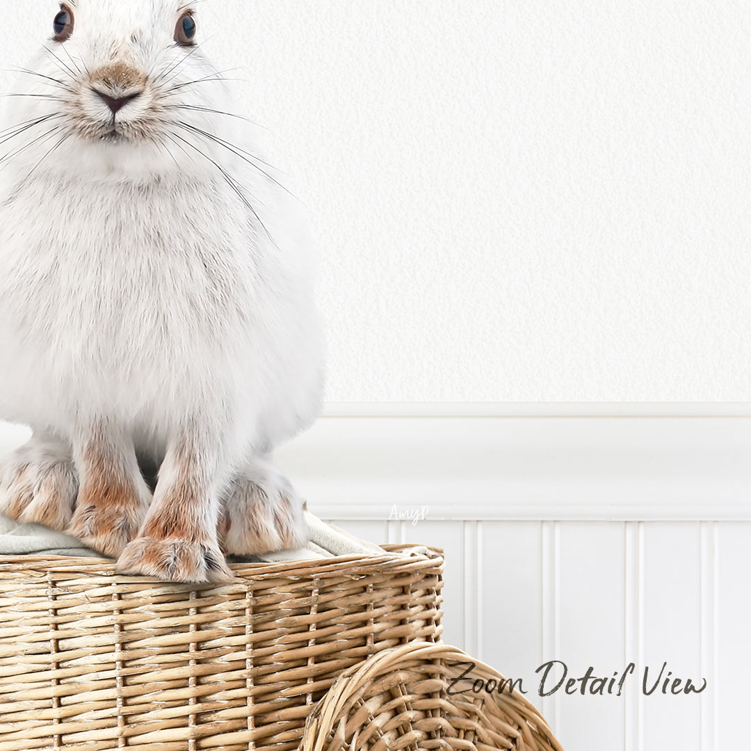 A fluffy white rabbit sits atop a woven basket, looking directly at the camera with a curious expression.