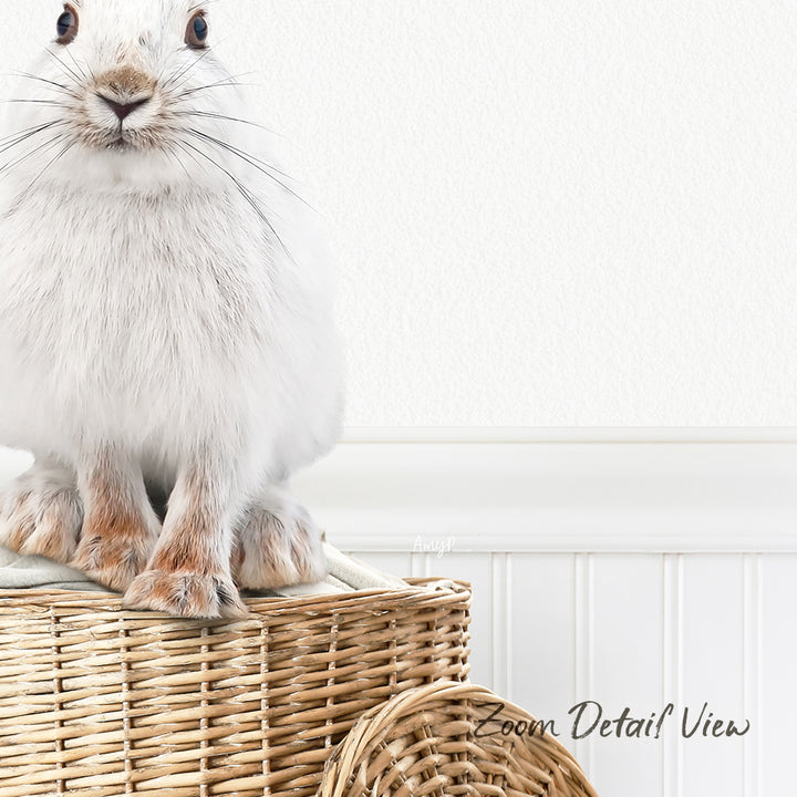 A fluffy white rabbit sits atop a woven basket, looking directly at the camera with a curious expression.