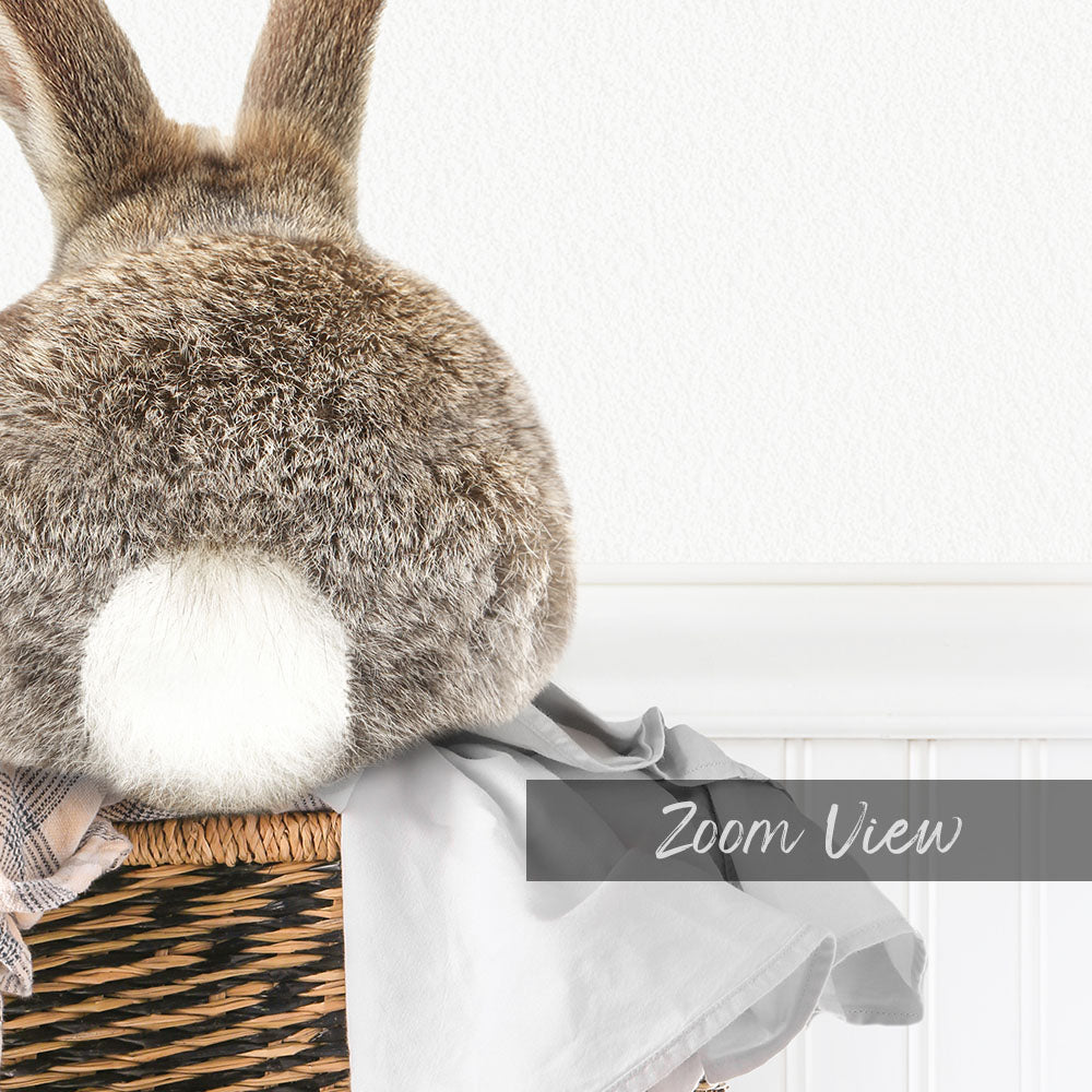 A close-up of a rabbit's backside peeking out from behind a basket, with a white wall and a text overlay that reads "Zoom View".