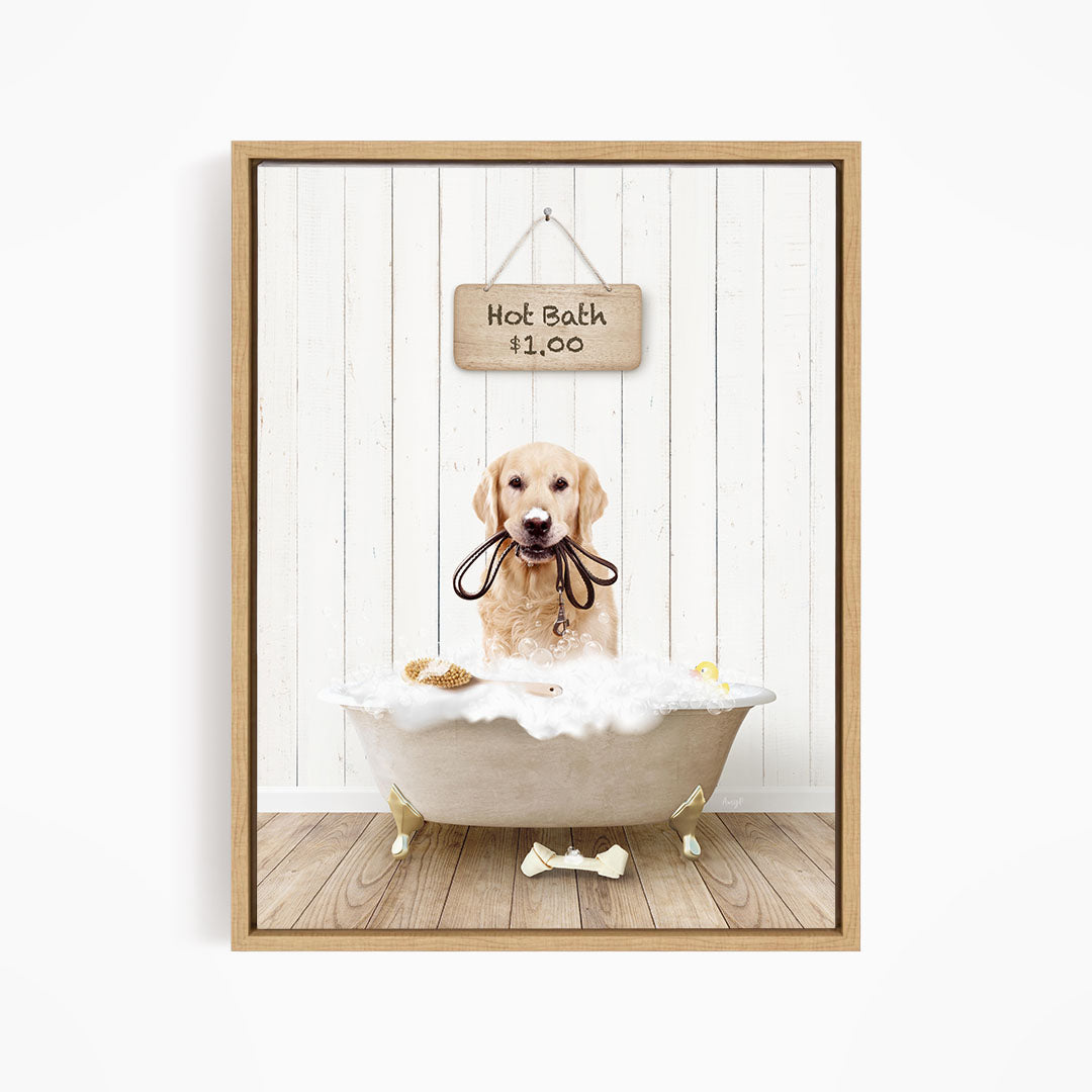 A golden retriever dog sitting in a white bathtub filled with bubbles, with a sign above the tub indicating a hot bath for $1.00.
