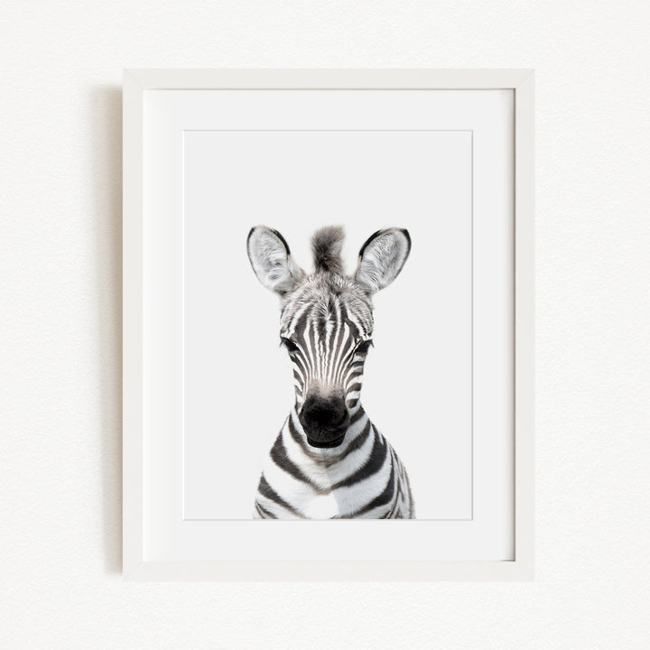 A framed black and white photograph of a zebra's head, with its distinctive striped pattern and large ears clearly visible.