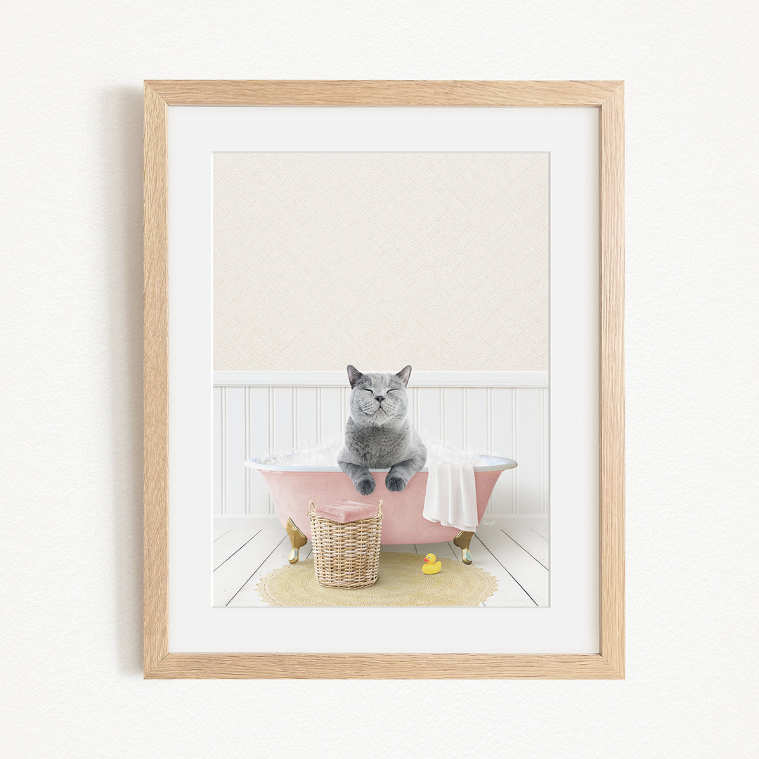 A gray cat sitting in a pink bathtub, with a basket of toys and a yellow rubber duck nearby.