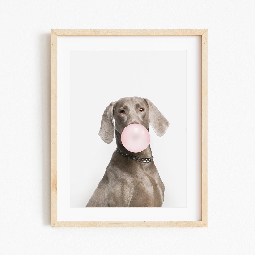 a picture of a dog with a pink bubble in it's mouth