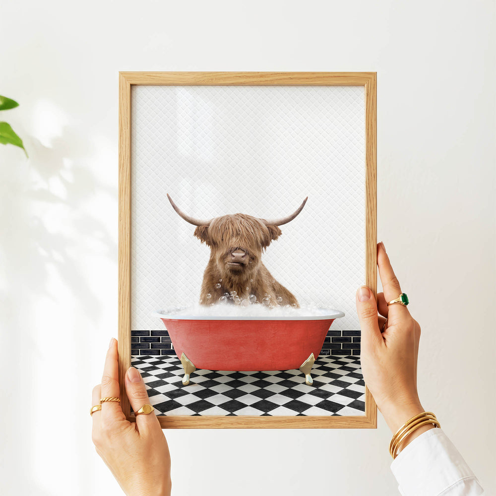 A person's hands are holding a framed picture of a brown cow sitting in a red bathtub filled with water, with bubbles around it.