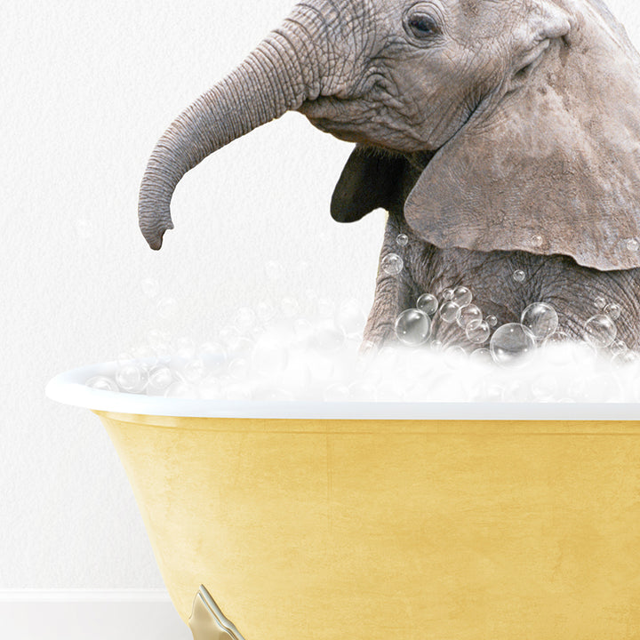 a baby elephant in a bathtub with bubbles