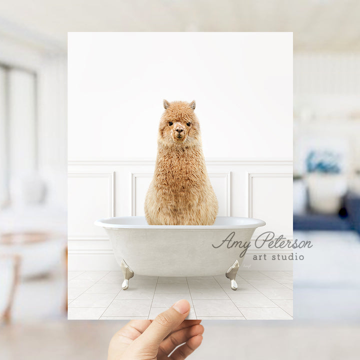 a hand holding a card with a picture of a llama in a bathtub