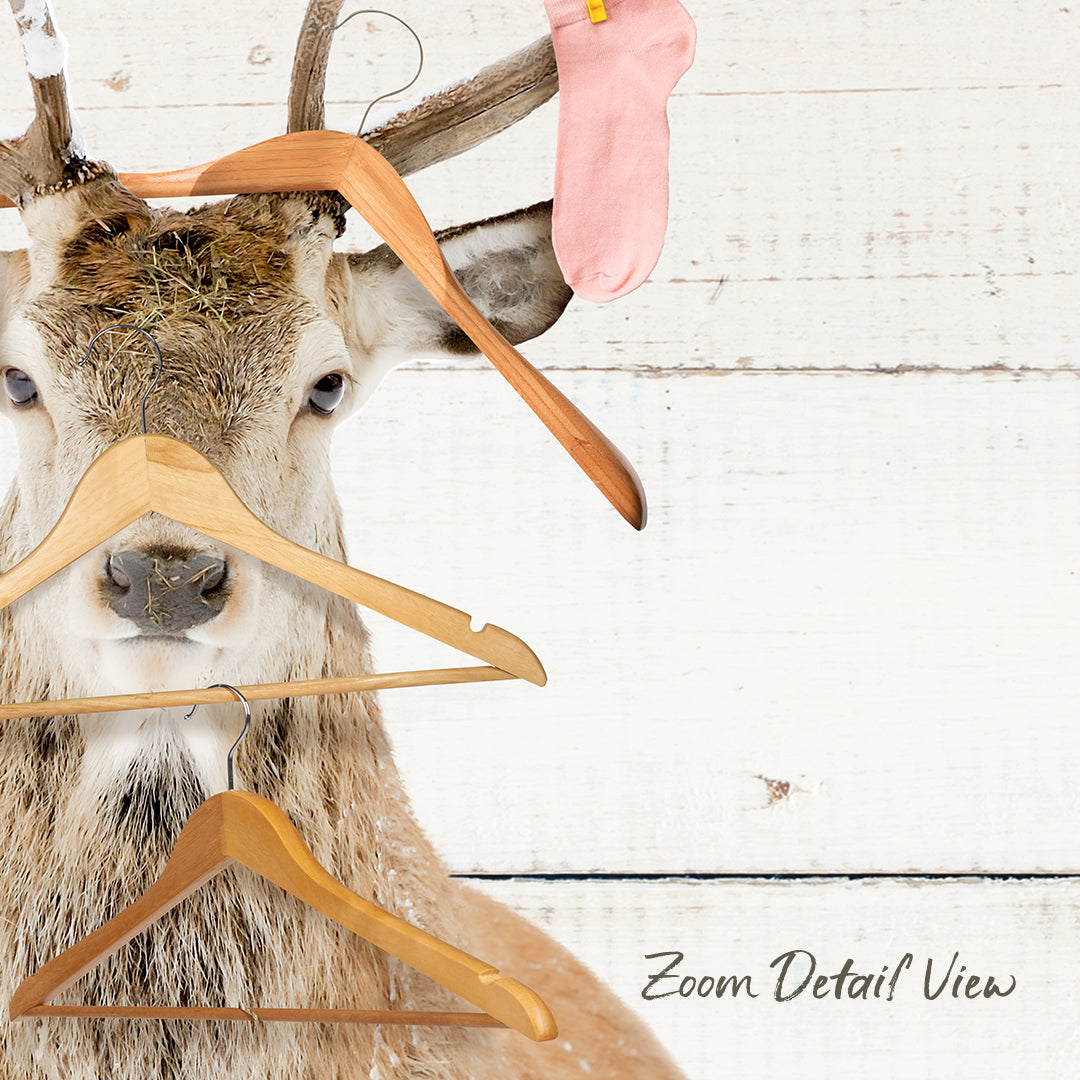 A deer with antlers wearing clothes and holding hangers, with a white background and the text "Zoom Detail View" at the bottom.