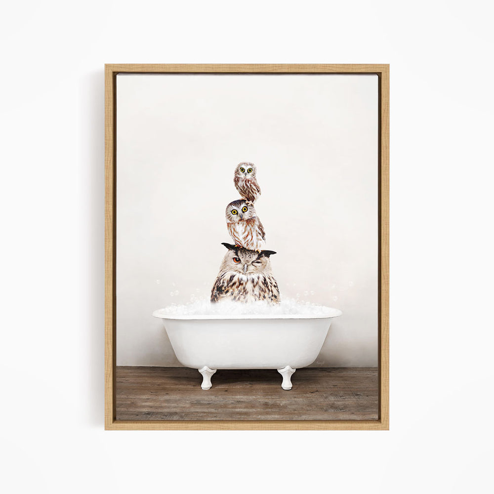 A framed image depicting three owls sitting in a white bathtub filled with water, creating a whimsical and playful scene.