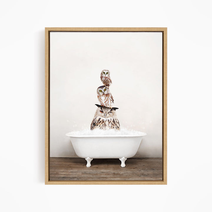 A framed image depicting three owls sitting in a white bathtub filled with water, creating a whimsical and playful scene.