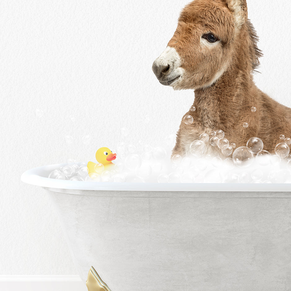 a baby donkey in a bathtub with bubbles and a rubber duck