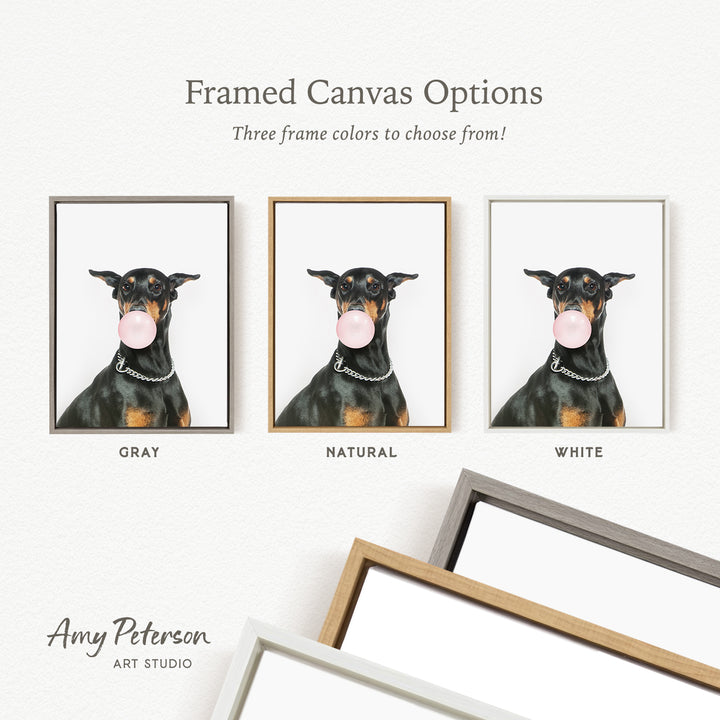 three framed canvas options for a picture of a dog blowing a bubble with a bubble gum bubble. The options include a gray frame, a natural frame, and a white frame.