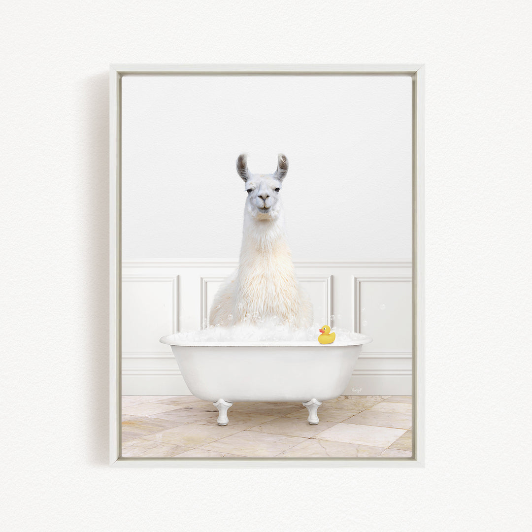 A white llama sitting in a white bathtub filled with bubbles, with a rubber duck floating in the water.