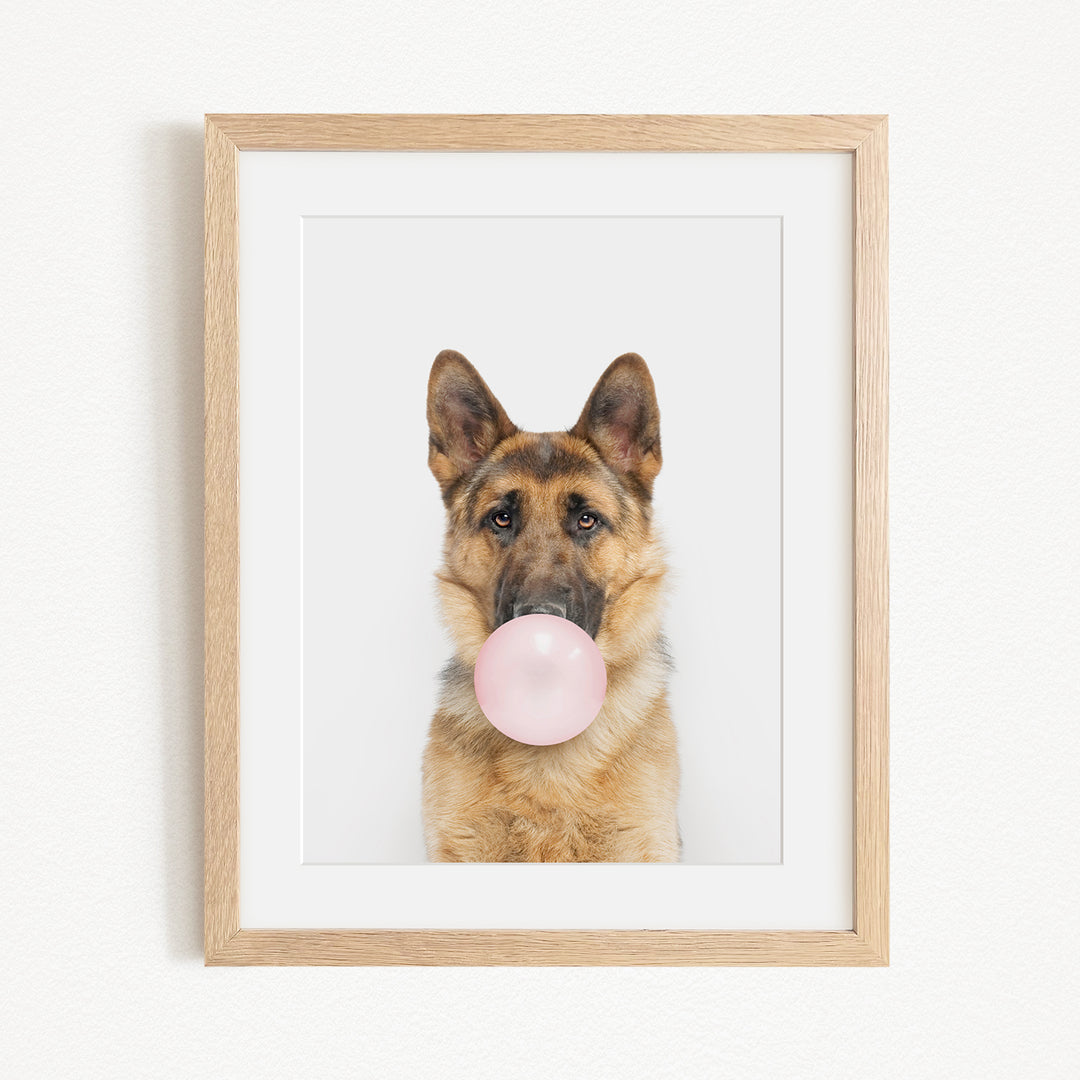 A German Shepherd dog is blowing a bubble with a pink bubble gum bubble wand, creating a playful and whimsical scene.