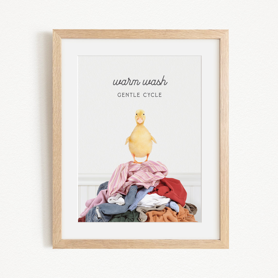 A framed image depicting a yellow duck standing on a pile of clothes, with the text "Warm wash Gentle Cycle" written above it.