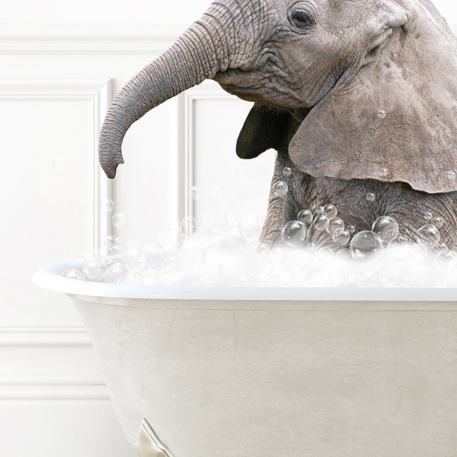 a baby elephant in a bathtub with bubbles