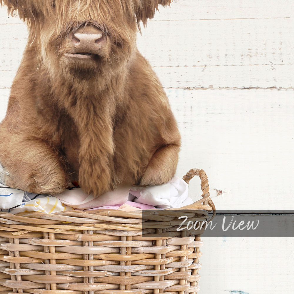 A brown cow sitting in a wicker basket, with the text "Zoom View" displayed below the basket.