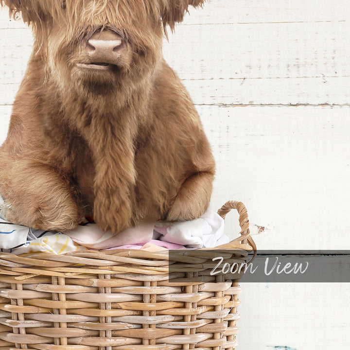 A brown cow sitting in a wicker basket, with the text "Zoom View" displayed below the basket.