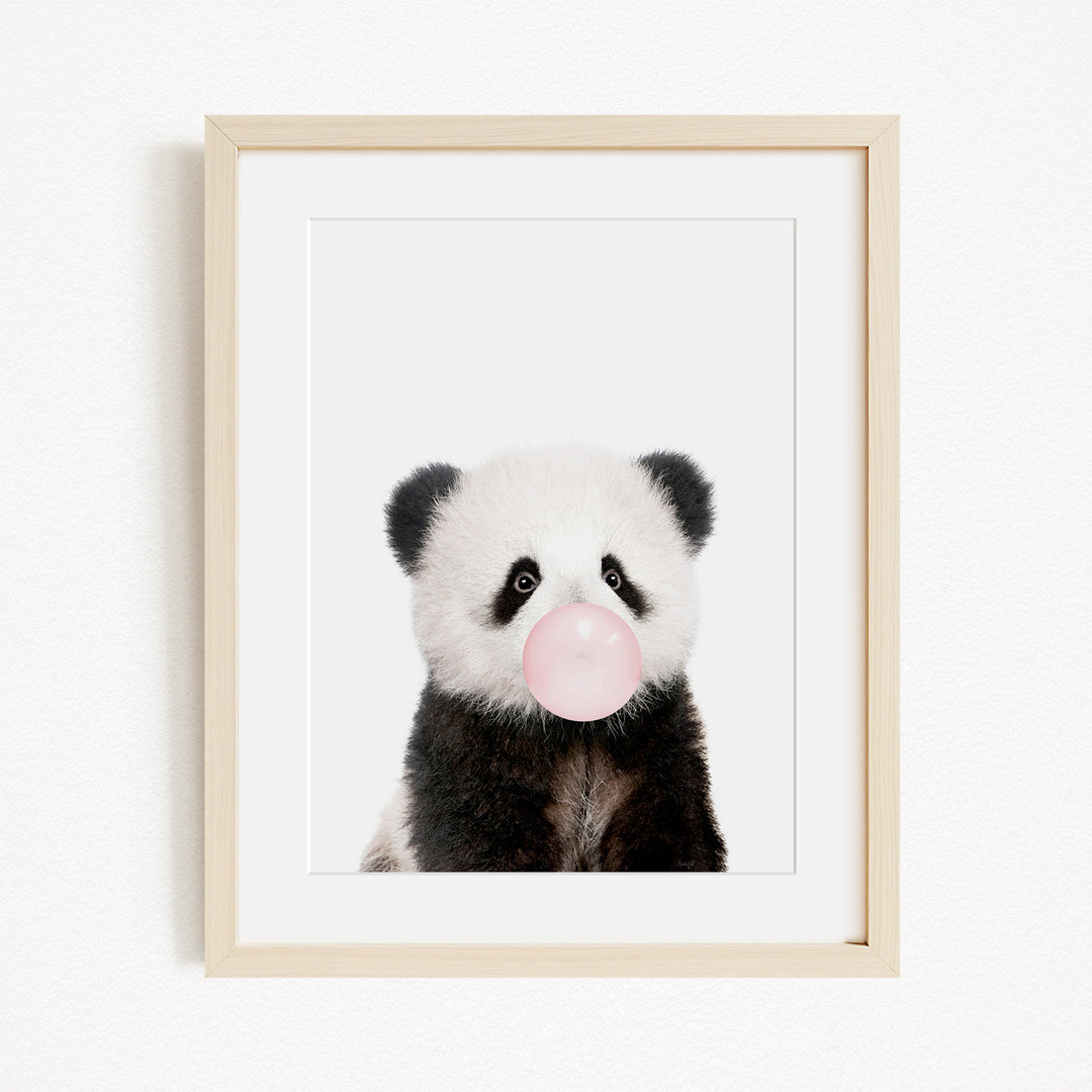 A panda bear blowing a bubble with a pink bubblegum bubble.