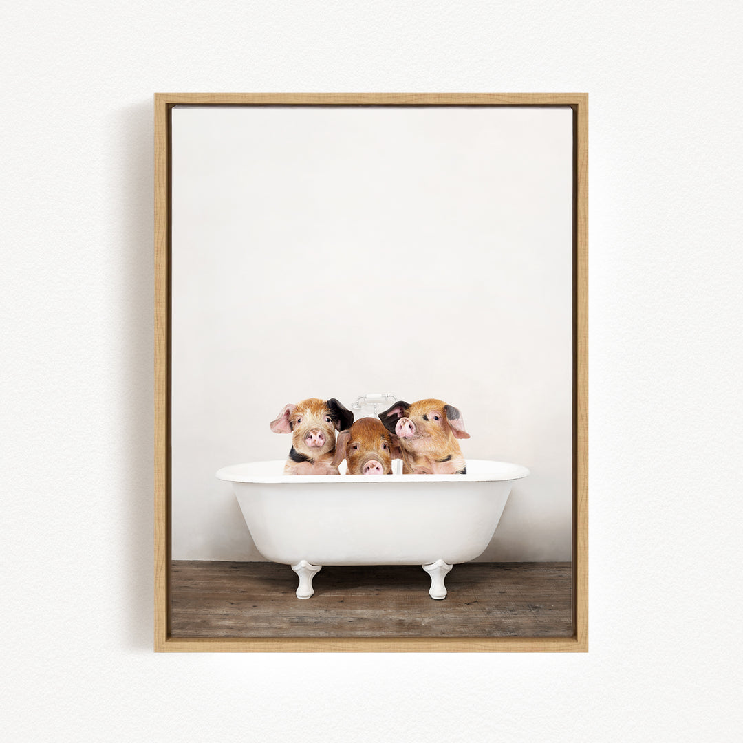 Three adorable pigs sitting in a white bathtub, with a wooden floor beneath them.
