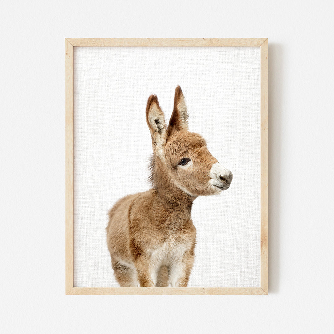 a small brown and white animal in a wooden frame