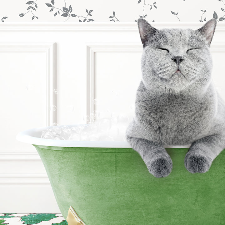 a gray cat sitting in a green bath tub