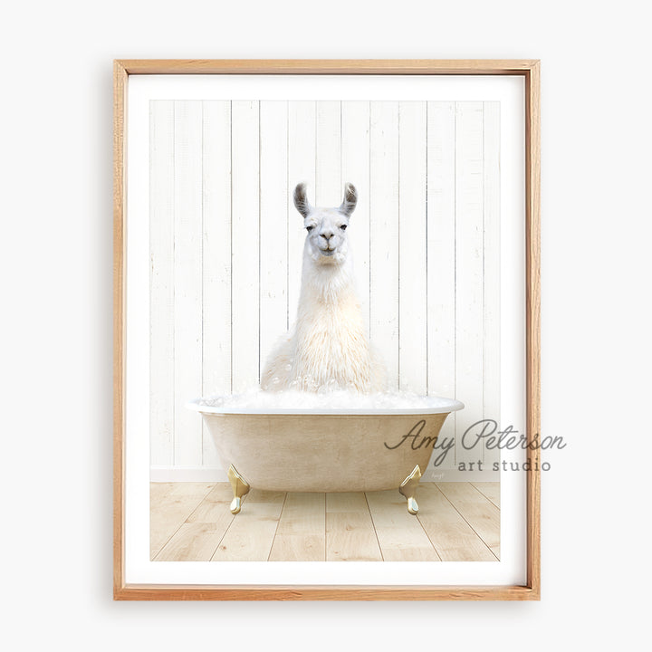 a llama sitting in a bathtub with foam on it