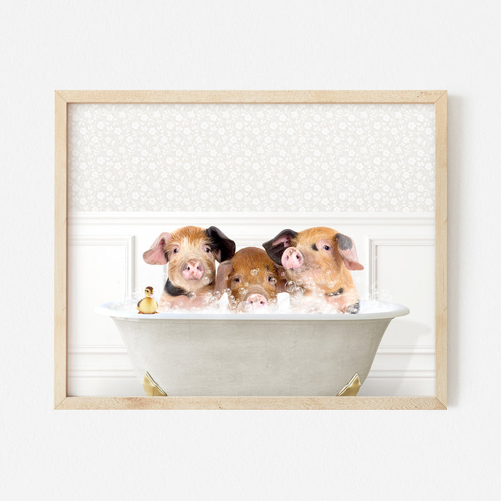 a picture of three pigs in a bathtub