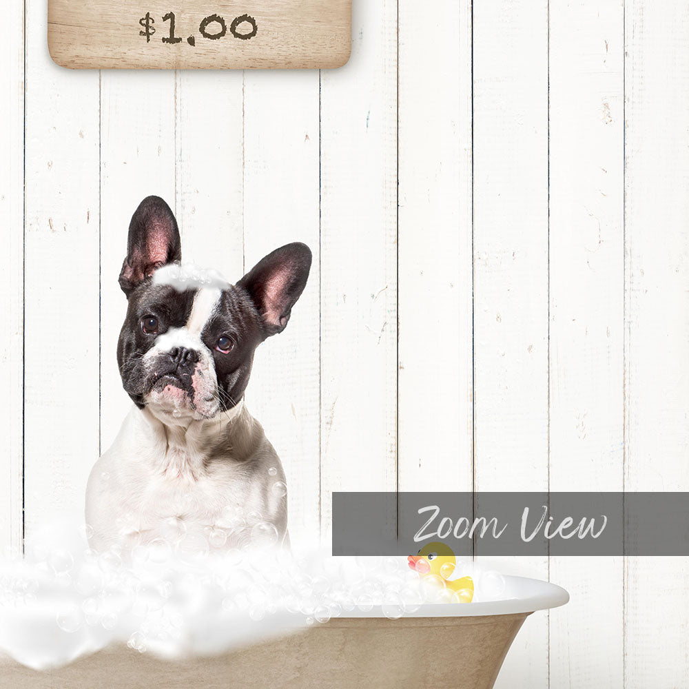 A black and white dog sitting in a bathtub filled with bubbles, with a wooden sign above the bathtub displaying "$1.00".