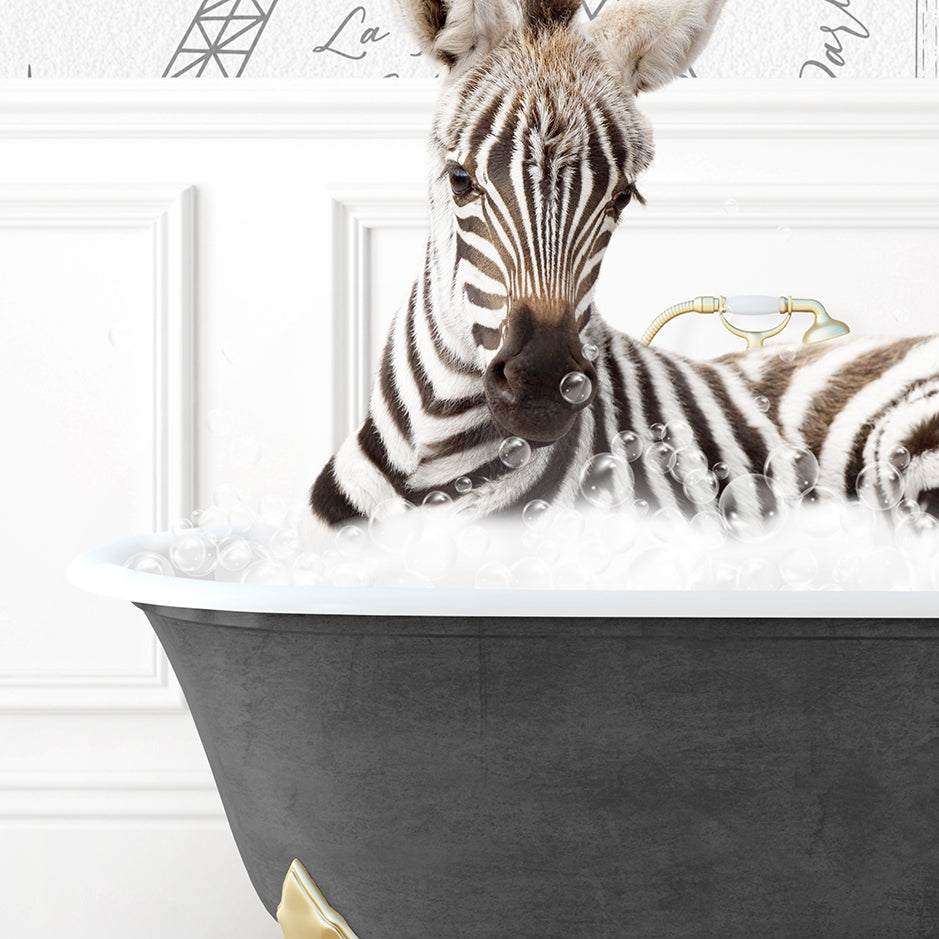 a baby zebra laying in a bath tub