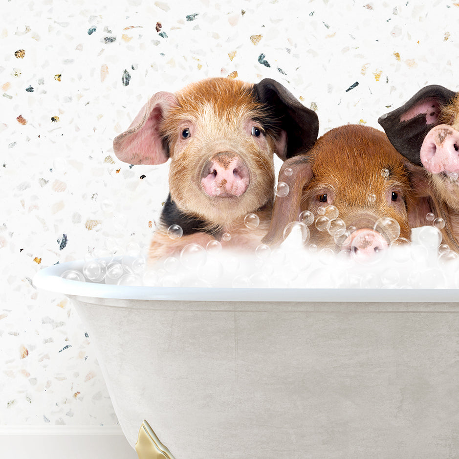 three little pigs in a bathtub with bubbles