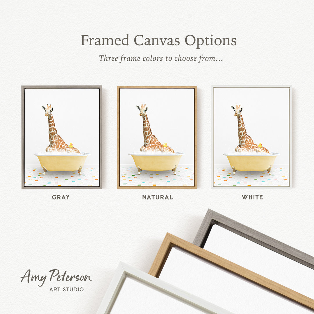 three framed canvas options featuring a giraffe sitting in a bathtub, with each frame having a different color.