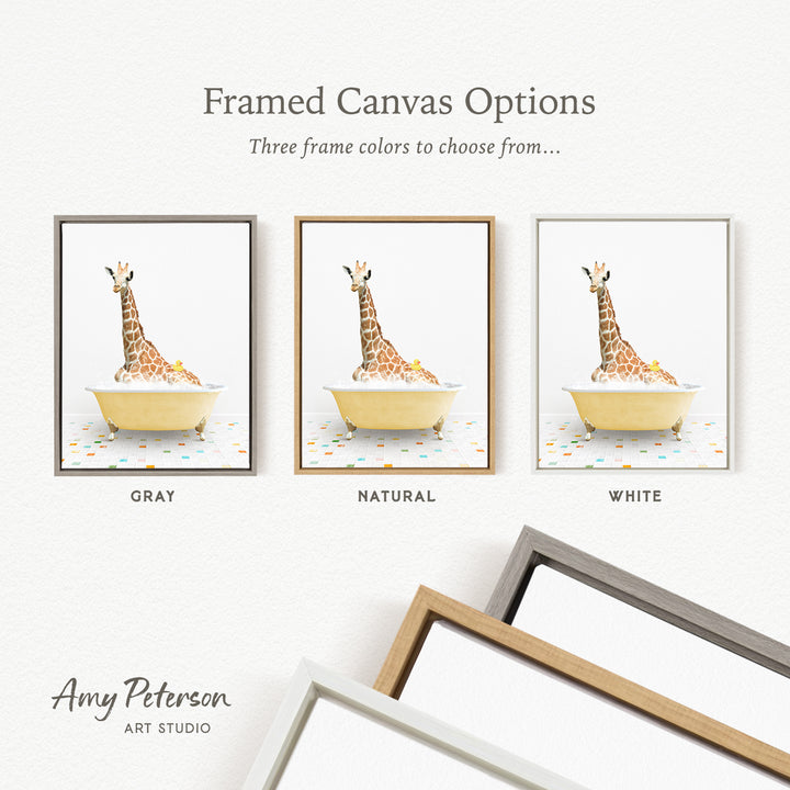 three framed canvas options featuring a giraffe sitting in a bathtub, with each frame having a different color.