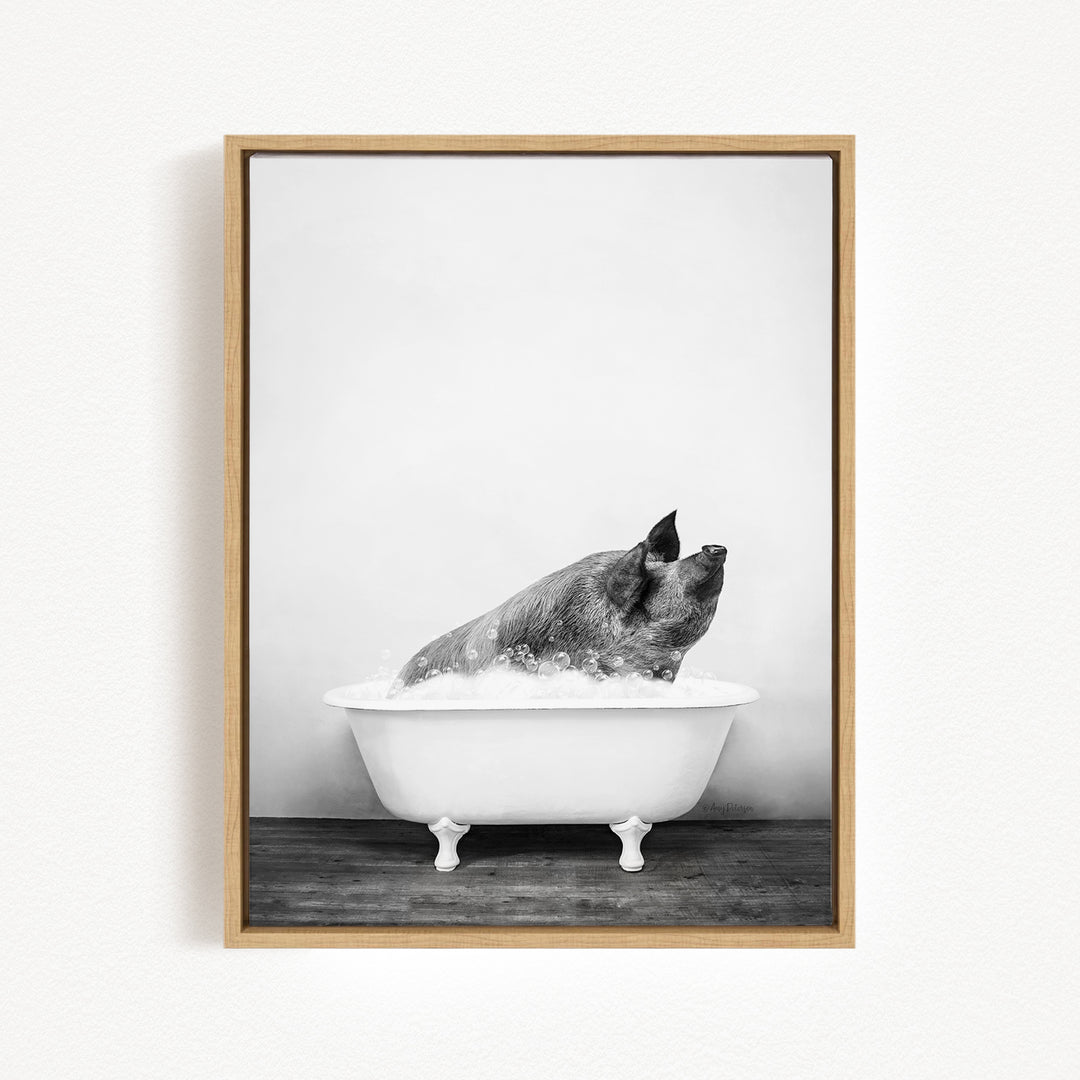 A black and white photograph of a pig sitting in a bathtub filled with water, looking up at the camera.