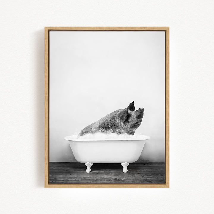 A black and white photograph of a pig sitting in a bathtub filled with water, looking up at the camera.